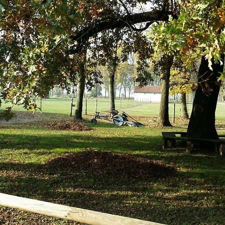 Scuderia 100 Pertiche Villa Villanterio Bagian luar foto